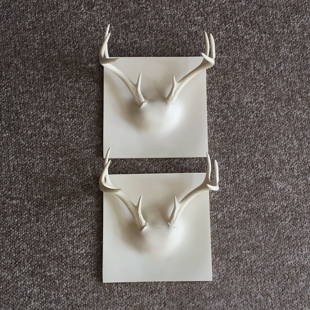 Erich Grinder Ghost Antler Set Handmade Art